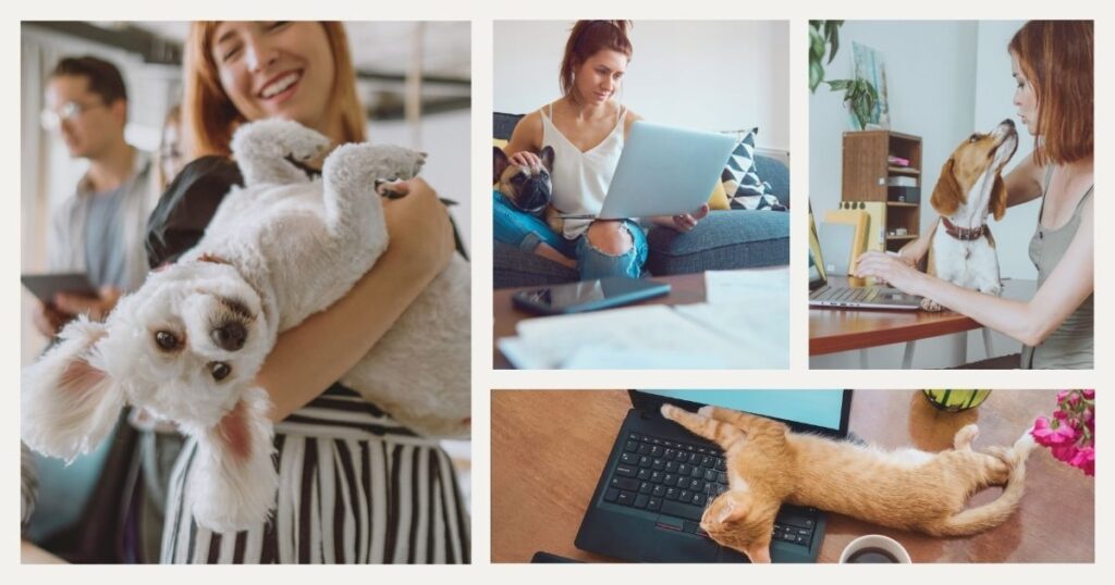 digital nomad people hanging out with their pets