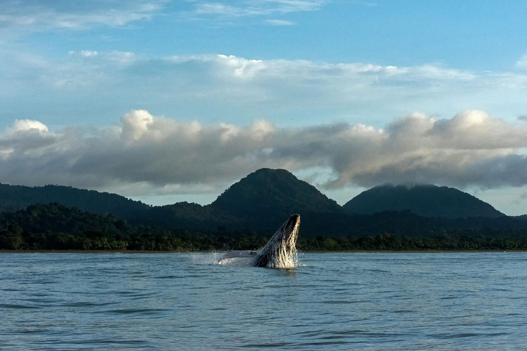 Colombia for digital nomads