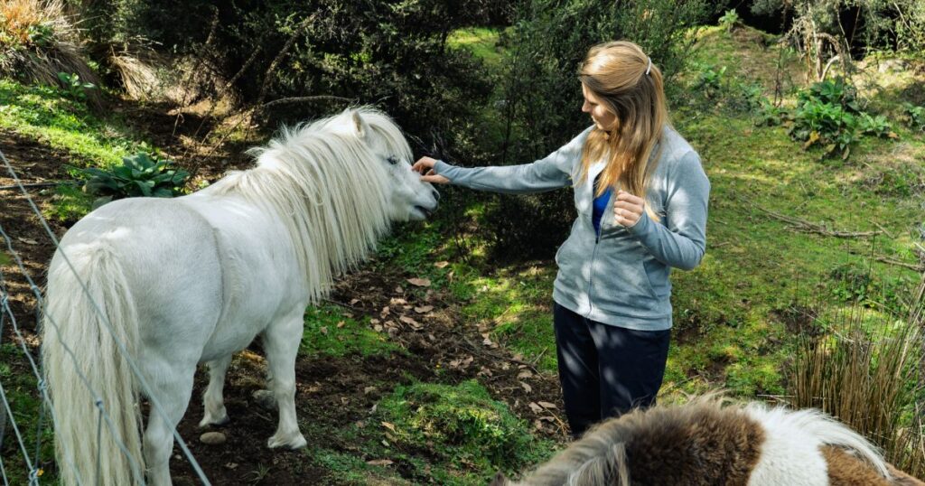 principales dudas sobre house sitting
