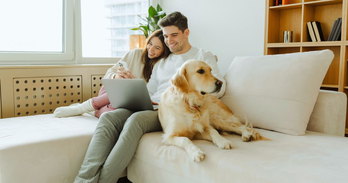 house sitting para nomadas digitales