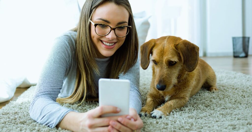ventajas del house sitting para nomadas digitales
