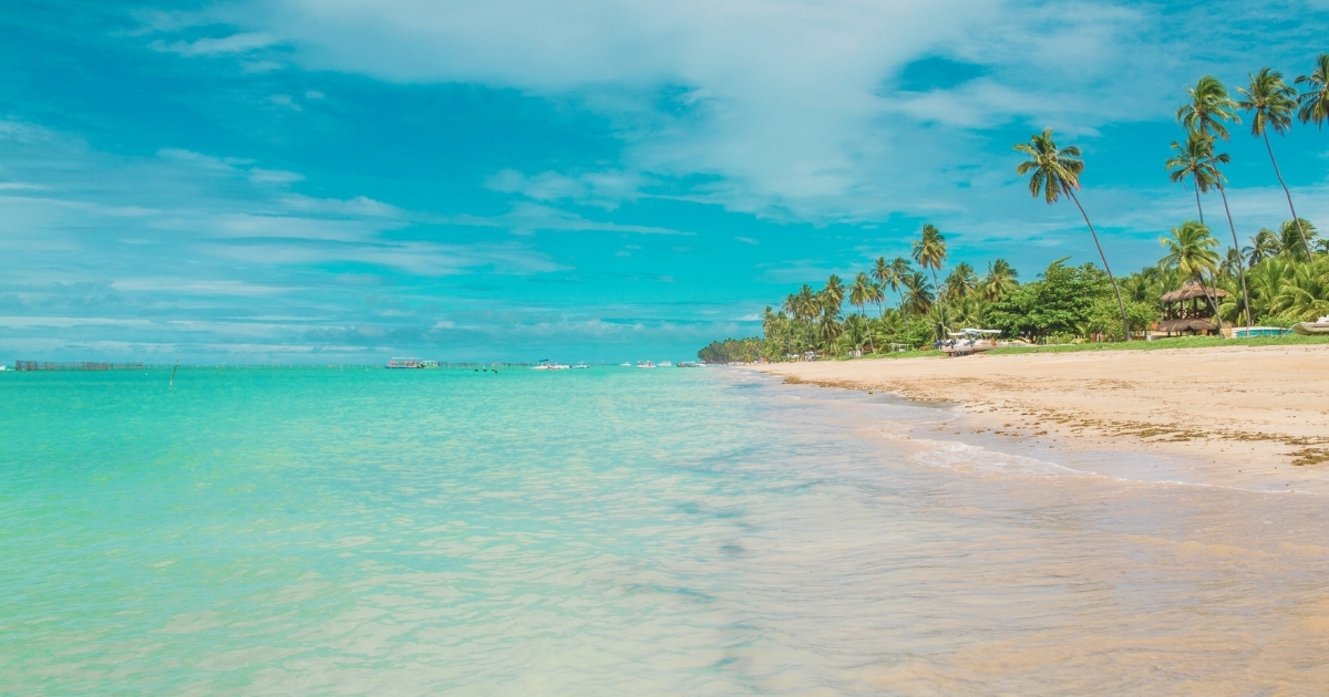 nice view of Maragogi Beach, Brazil