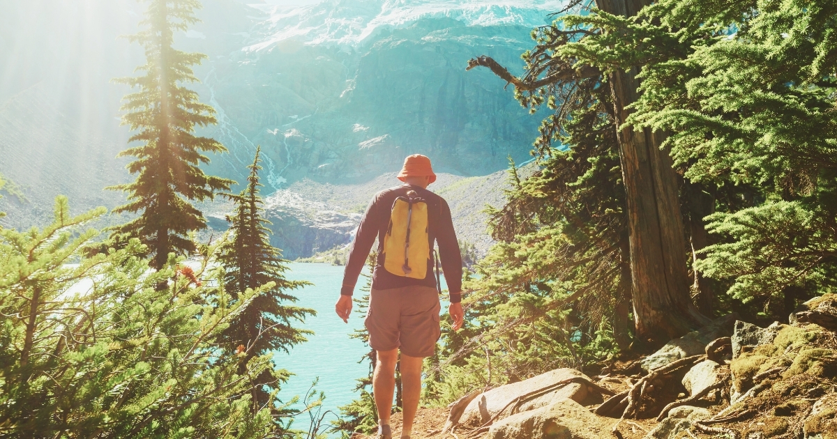 man exploring Canadá forest