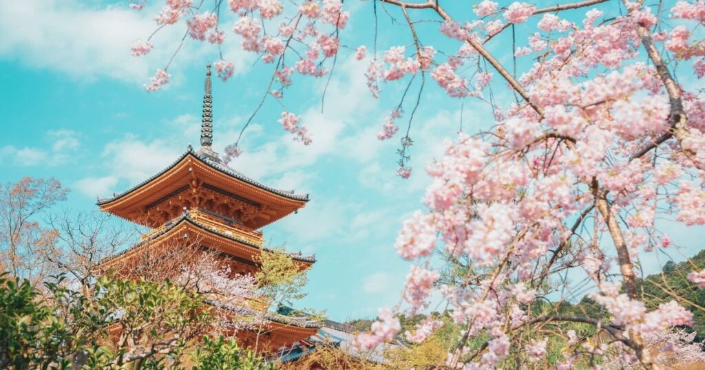 nice view of touristic place in Japan with flowers