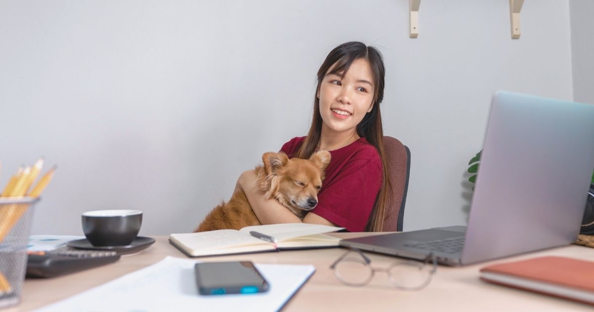 mujer nomada digital trabajando remoto con su perro