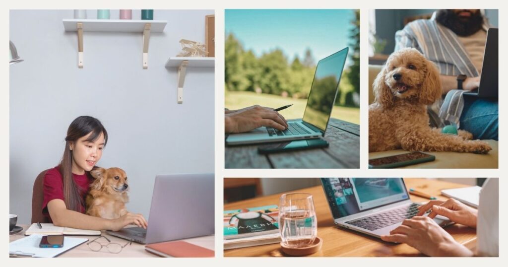 nomadas digitales trabajando remoto con perro
