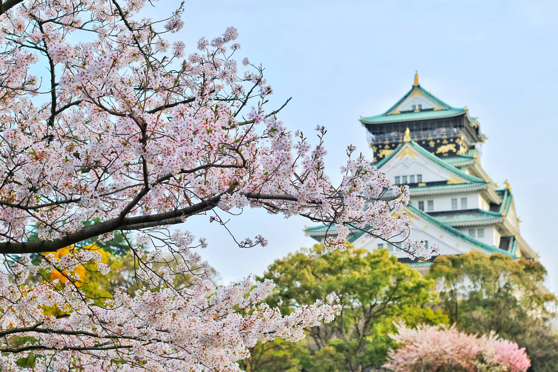 Requisitos y recomendaciones para viajar a Japón desde México