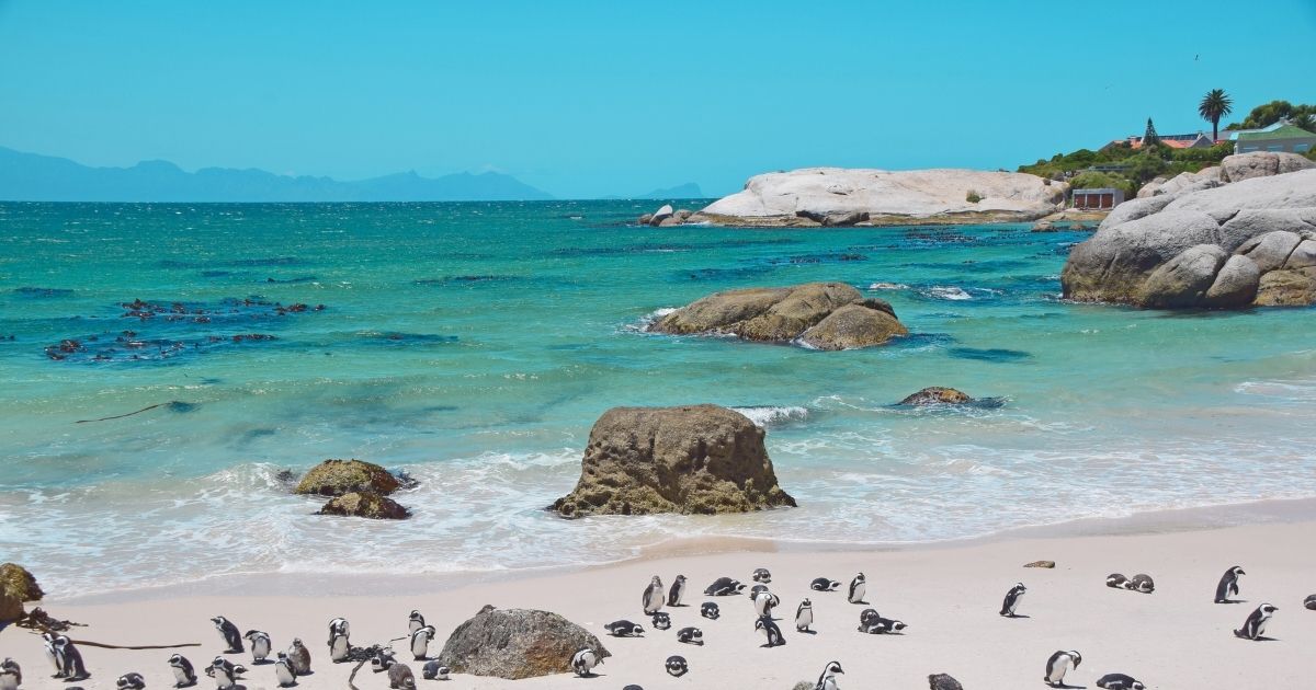 hermoso paisaje de playa en Sudafrica