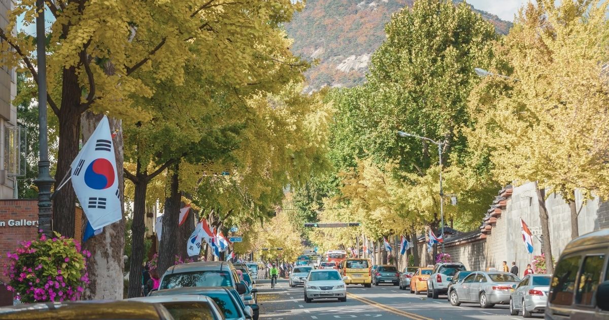 calle con coches en Corea del Sur