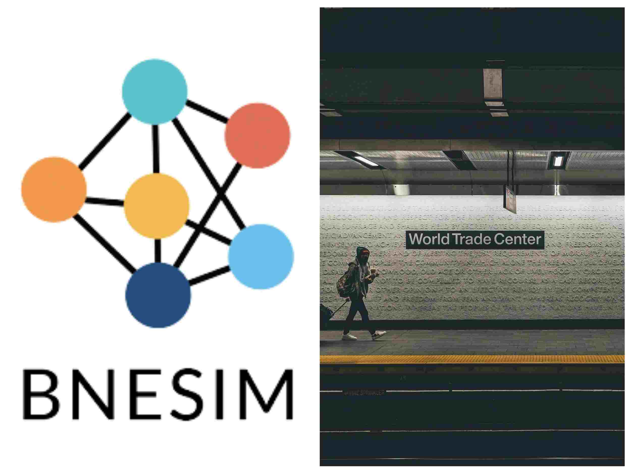 logo-viajero-opiniones-esim-bnesim