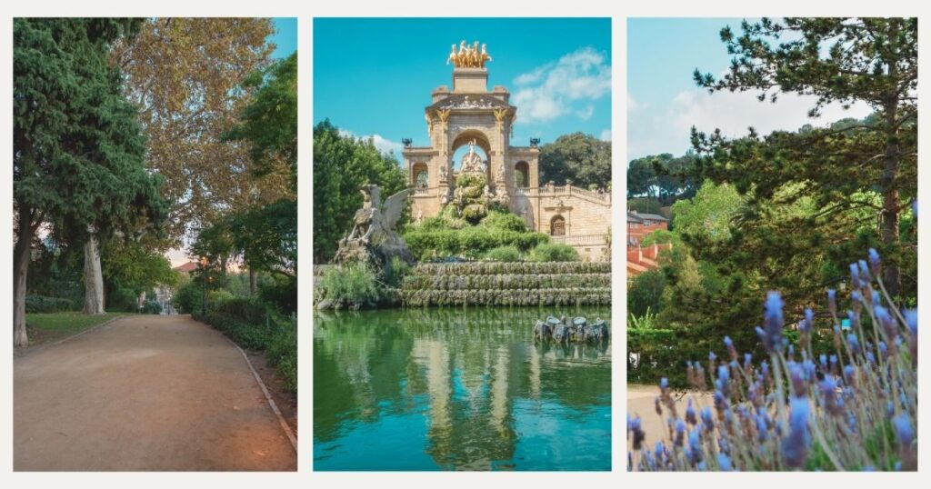 beautiful park in Barcelona