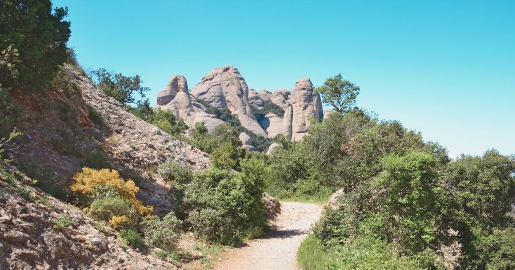 beautiful view of Montserrat forrest