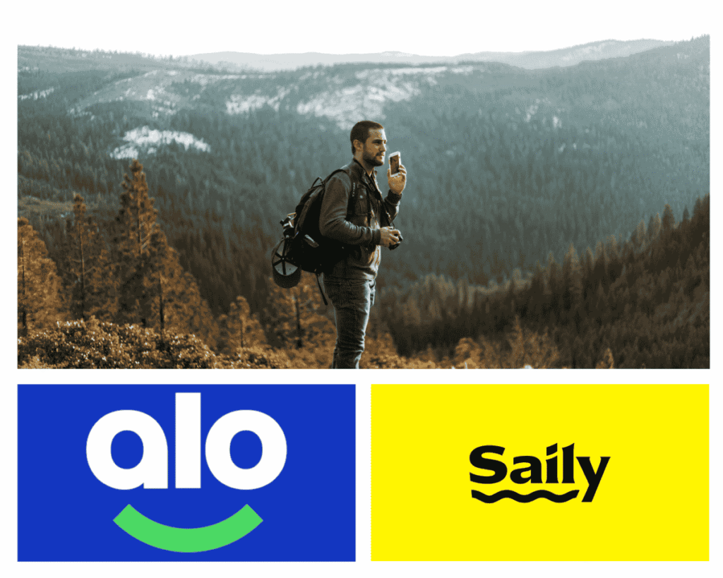 viajero-logos-alosim-vs-saily