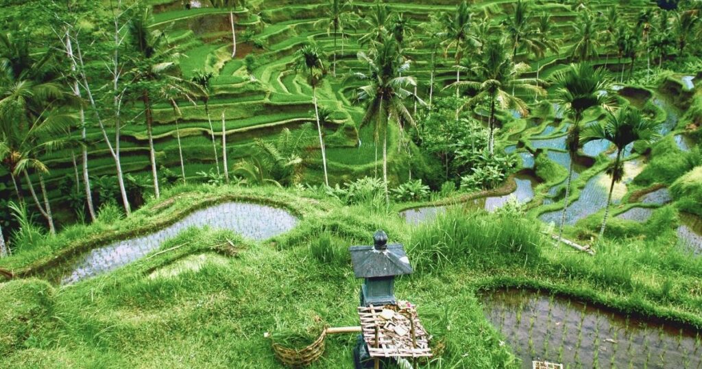 safe place in Bali