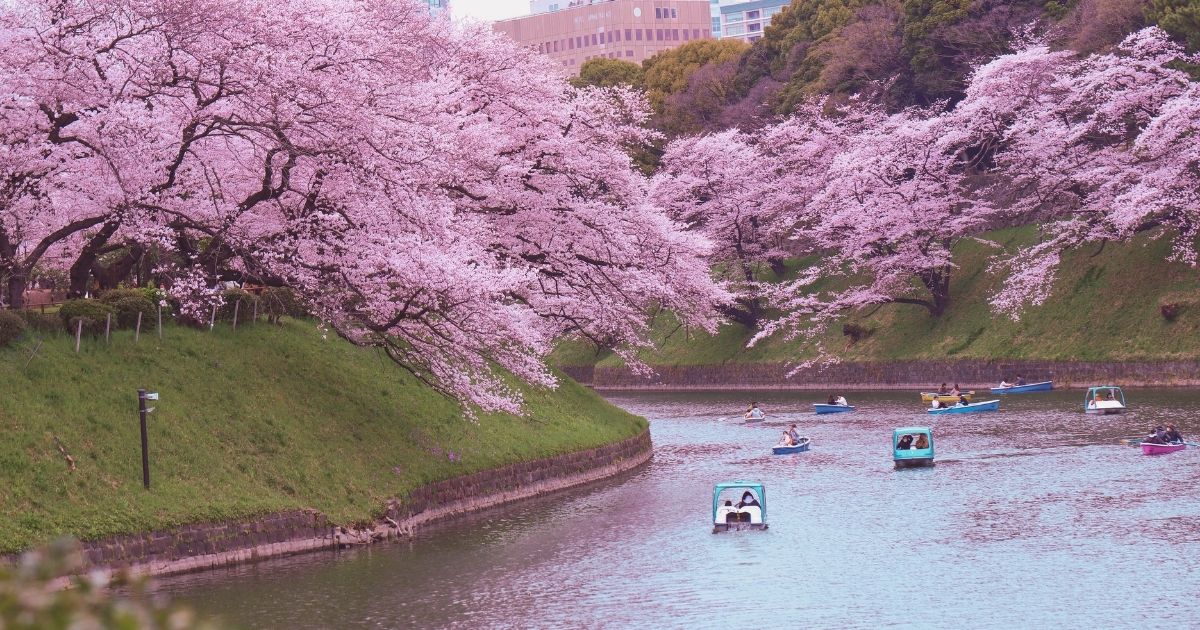 hermoso paisaje de Japon