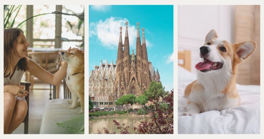 woman with a happy dog in a pet-friendly hotel in Barcelona