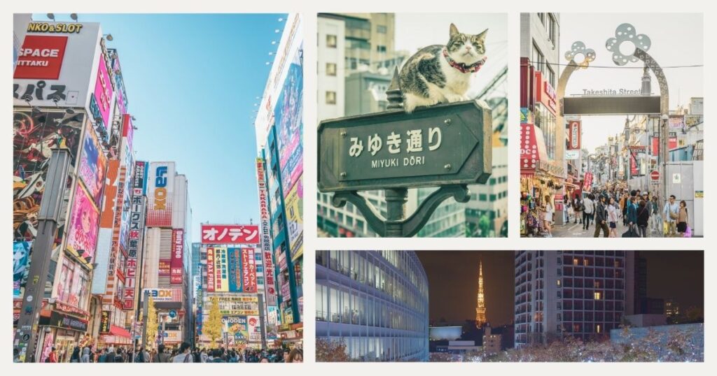 calles turisticas en Tokio