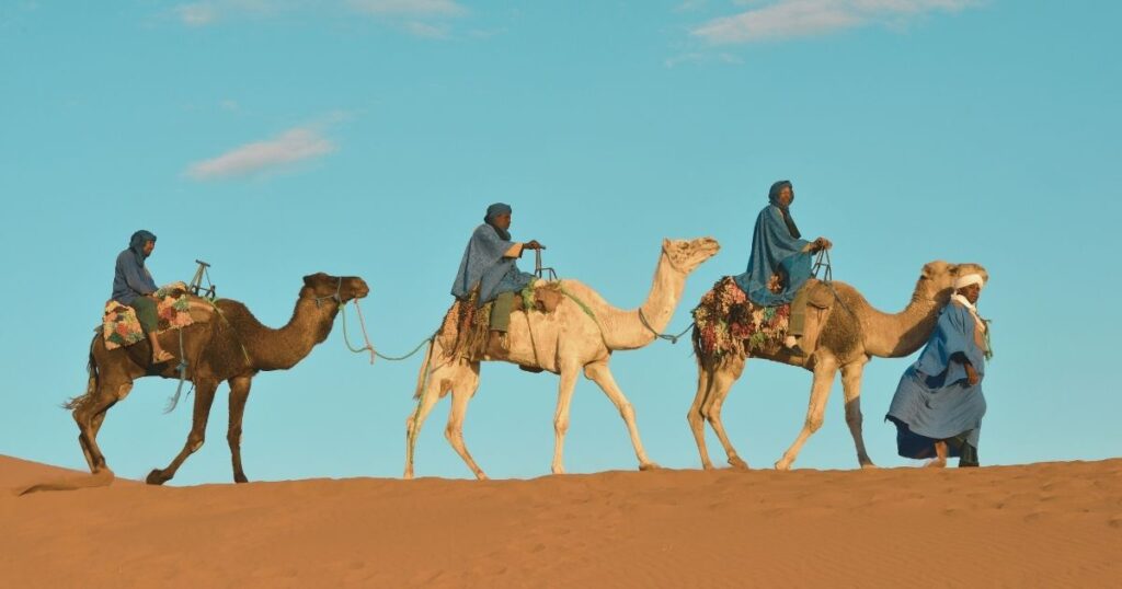 paseo de camello en Marruecos