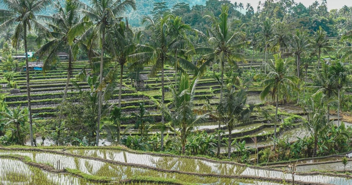 famous place in Bali