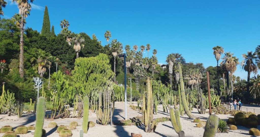 El Jardín de Mossèn Costa i Llobera en Barcelona