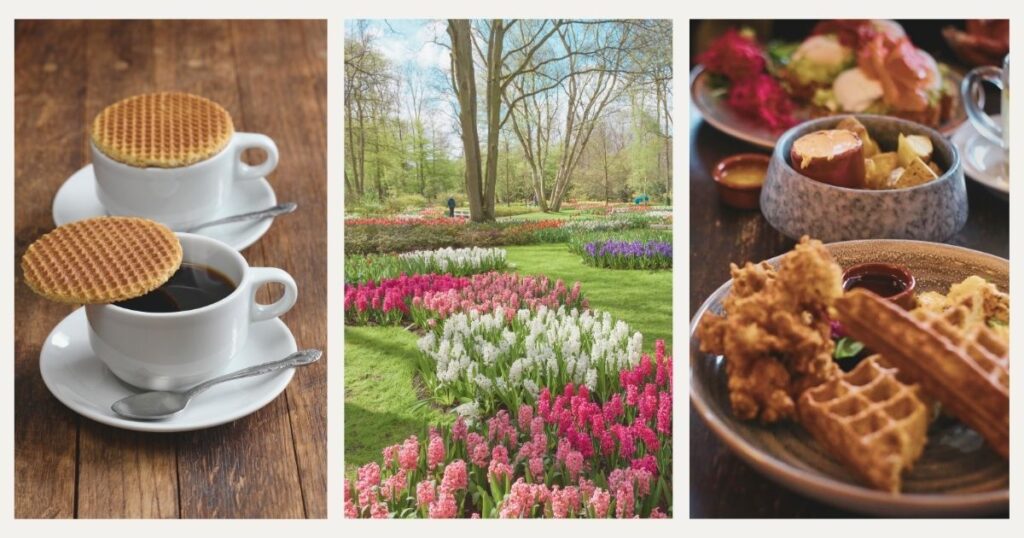 gastronomia tipica de Paises Bajos