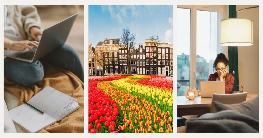 woman navigating on internet in Amsterdam