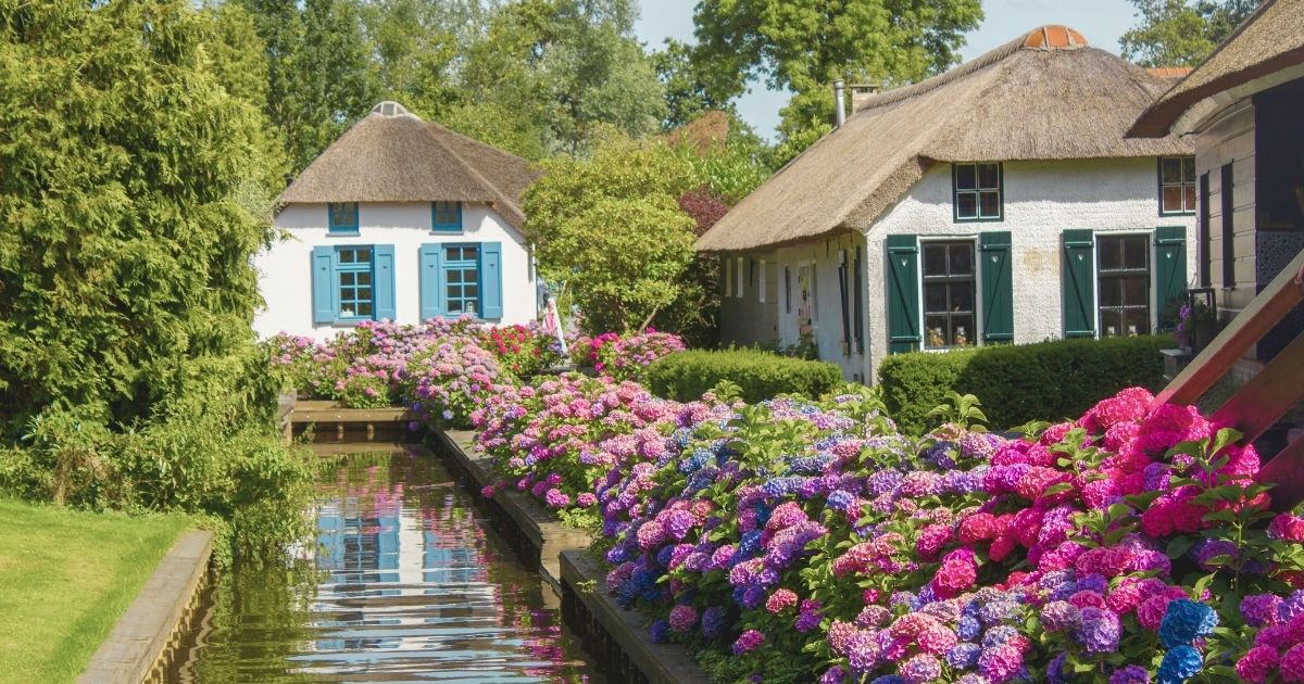 paisaje tipico en Paises Bajos