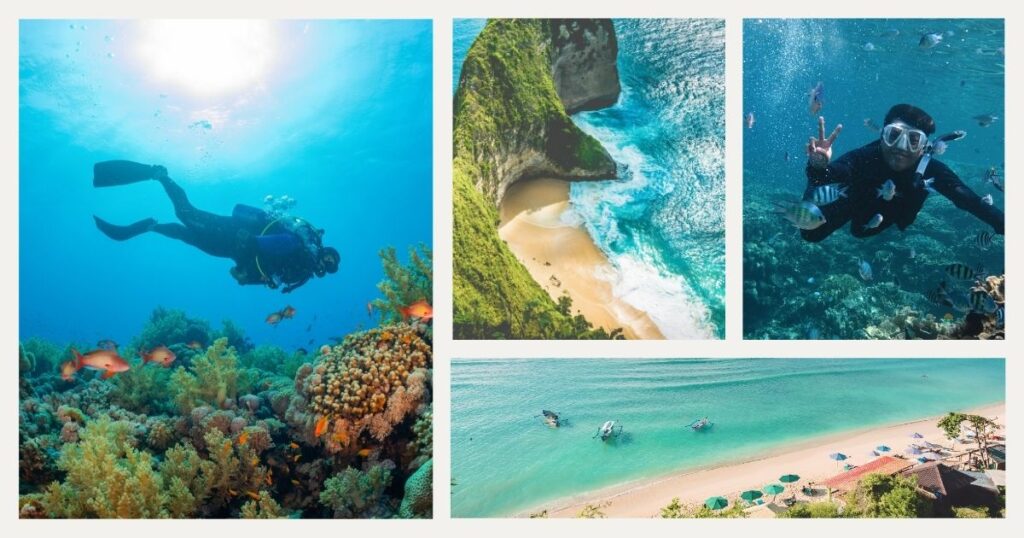 people diving in Bali