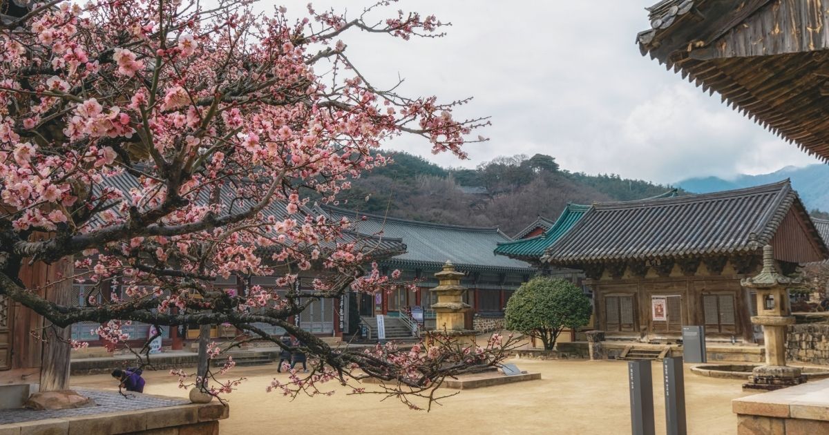 uno de los templos imperdibles que debes visitar en Corea