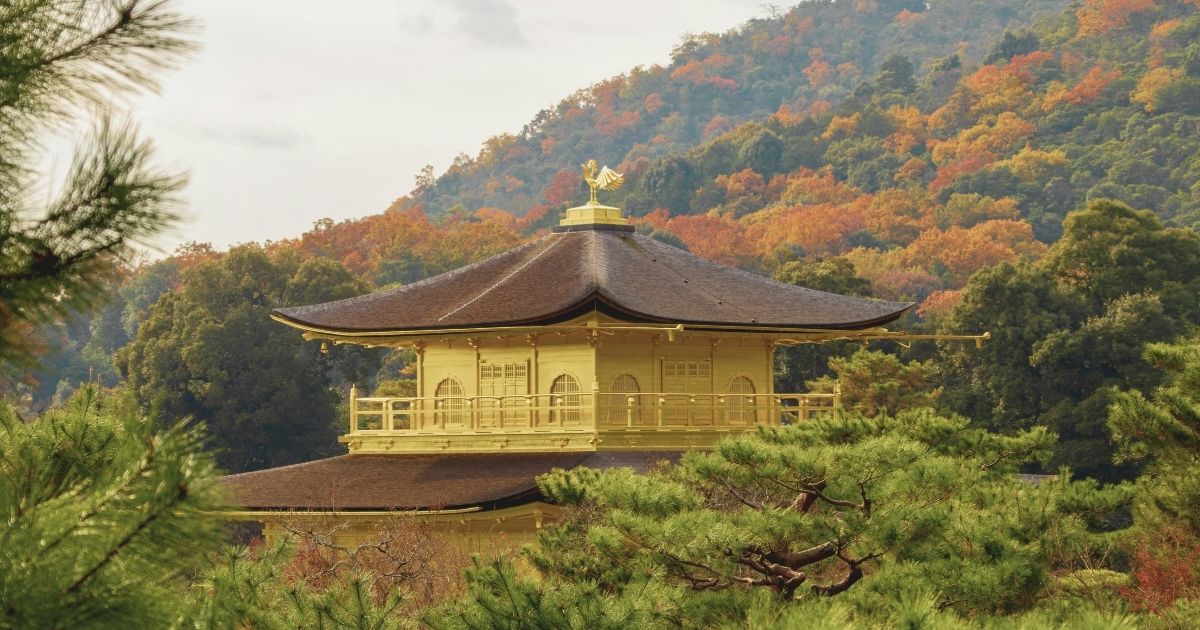 nice view of a typical japanese house in Japn