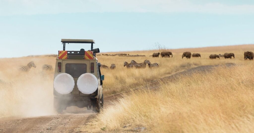 driving in South Africa savana