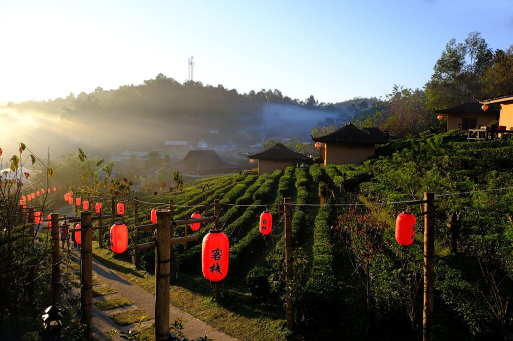 Chiang Mai, el paraíso verde del sudeste asiático