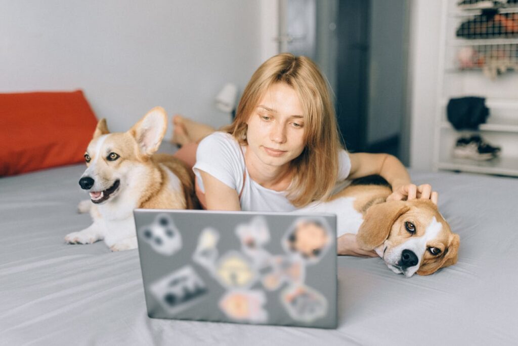 Trabaja con tu mascota en alguno de los mejores espacios de coworking en Lisboa.